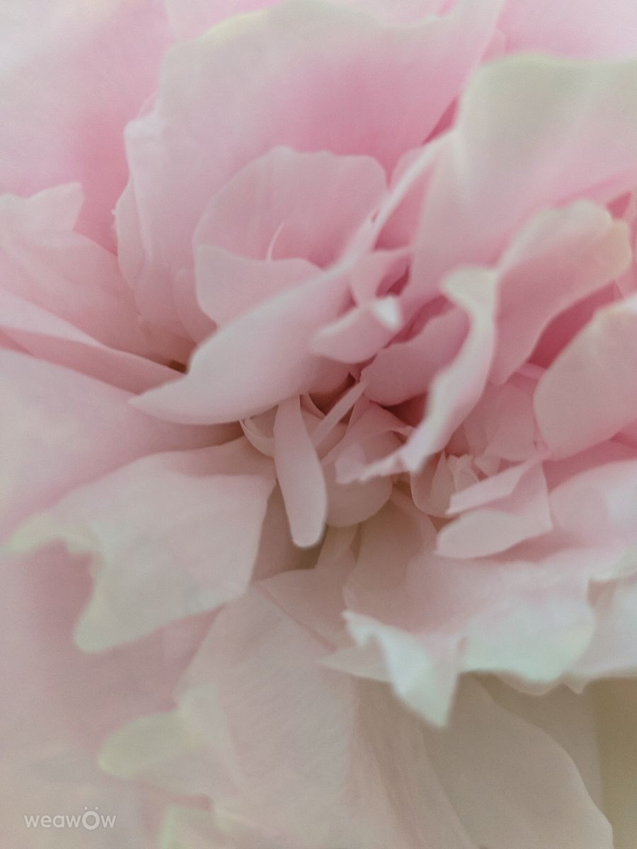 摄影师 aastrelkova，Sarapul Railway Station的天气照片 - Weawow