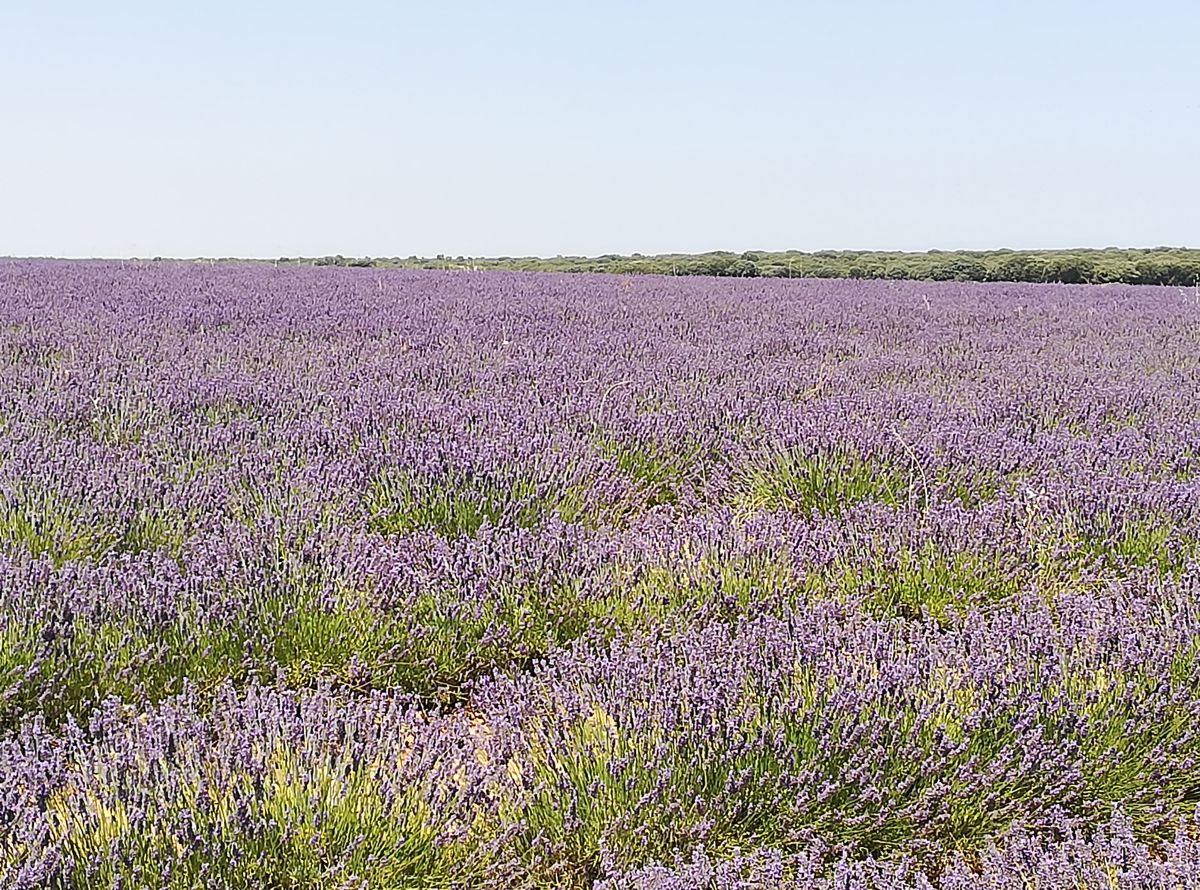 Photographer MarcosCidDaly, Weather Photos in Gajanejos - Weawow
