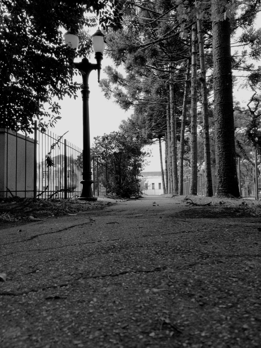 Photographer neconobre, Weather Photos in Curitiba - Weawow
