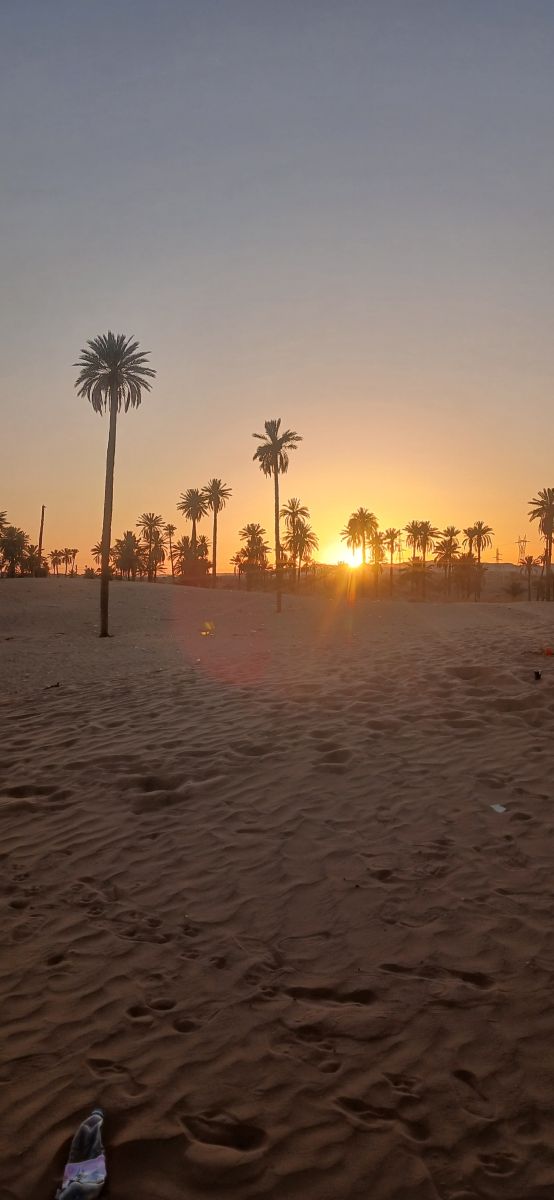 Photos météo à Béchar. Prévisions météo avec de superbes photos de BELGHOUL-KADDA