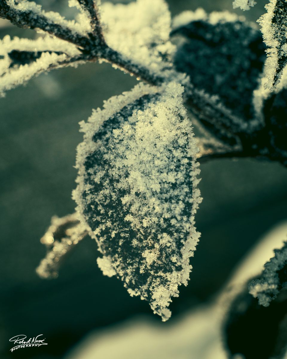 Photographer RobertNagaj, Weather Photos in Hamburg - Weawow