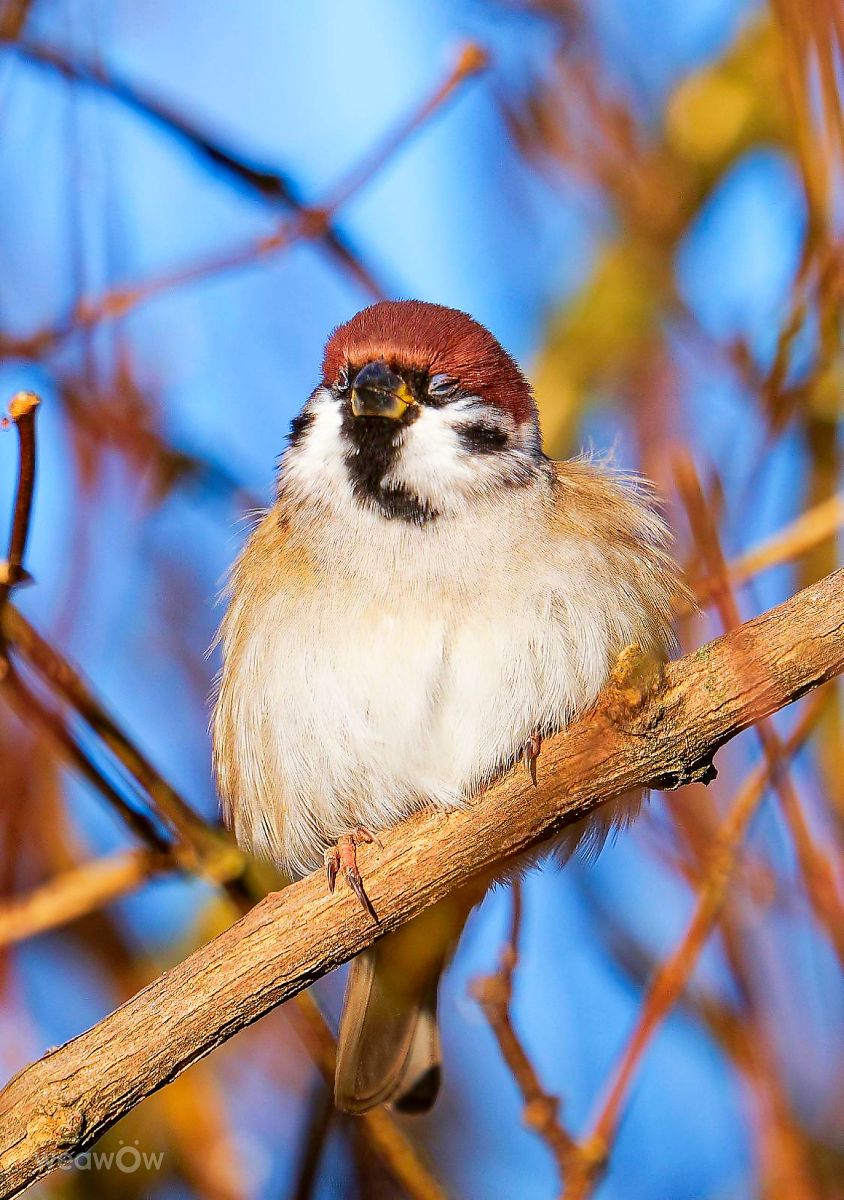 Weather Photos in Marketplace. Weather forecasts with beautiful photos by Aleh_Narushevich