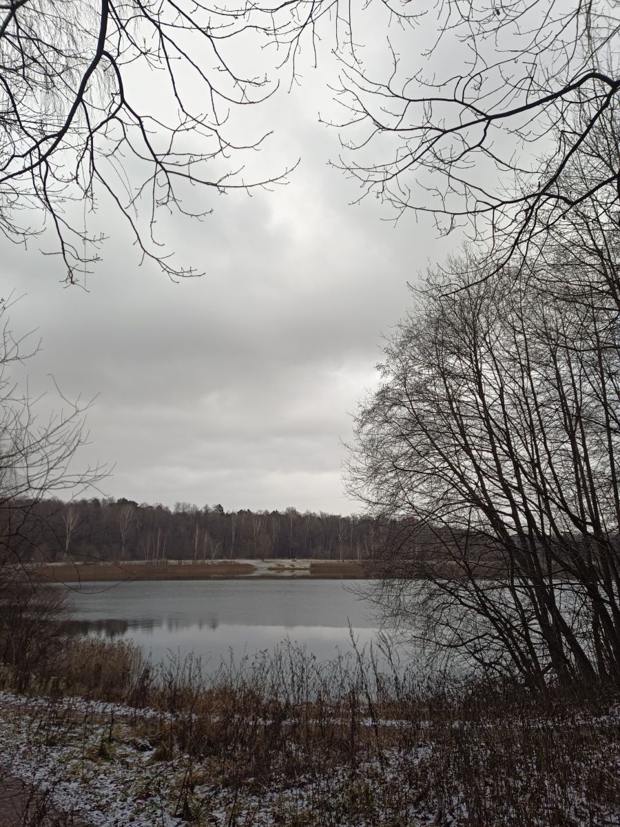 Photographer Amanda_and_Valdemar_Che, Weather Photos in Izmaylovo District - Weawow