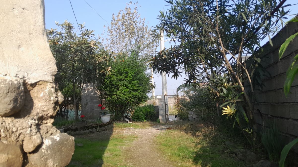 Hình ảnh Thời tiết ở I-ran. Dự báo thời tiết với những bức ảnh đẹp của Soheilpmi