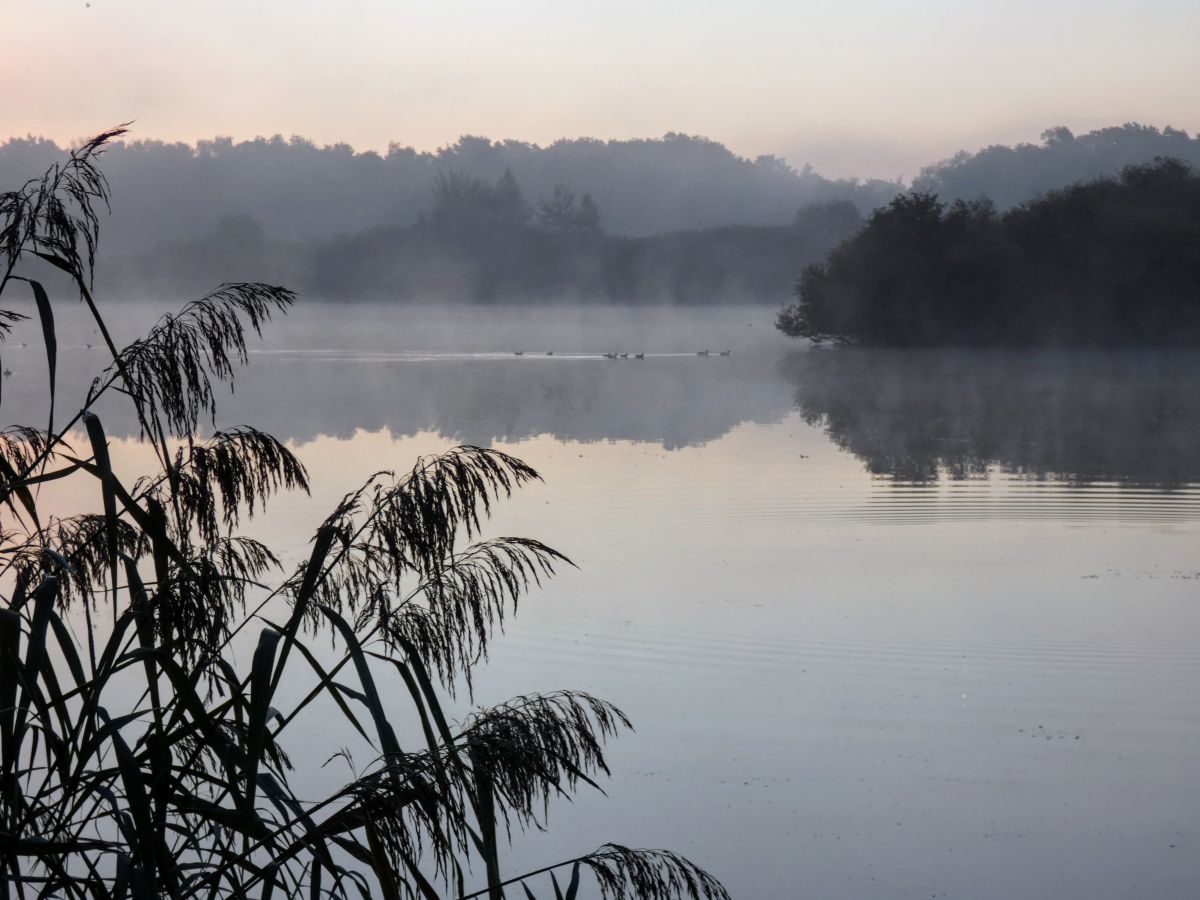 Фотографии Погоды в Ahlhorner Fischteiche. Прогнозы погоды с чудесными фотографиями, сделанными fwerner