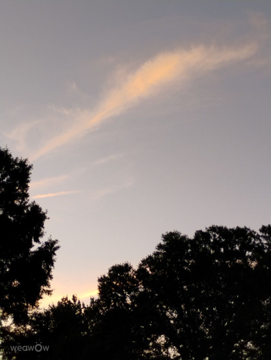 Weather Photos in Riverwalk Parkway. Weather forecasts with beautiful photos by Awcat