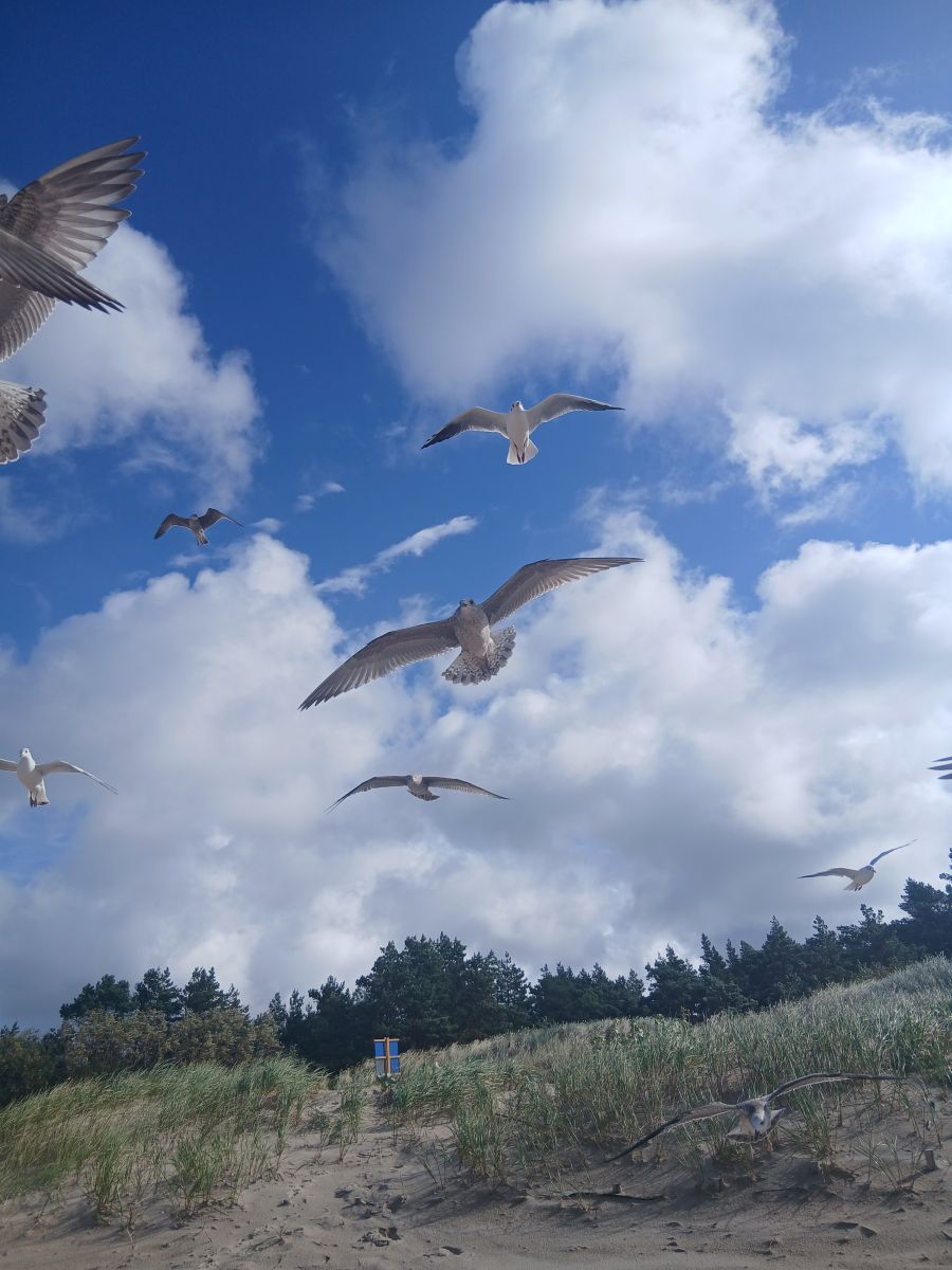 Dainius0428の美しい写真による天気予報