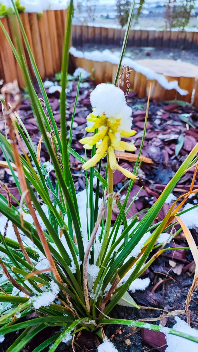 Fotógrafo Romek58, Fotos sobre el clima en Wieluń - Weawow