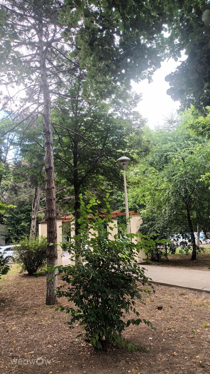 Weather Photos in Ialomița County. Weather forecasts with beautiful photos by Nuta Ionela