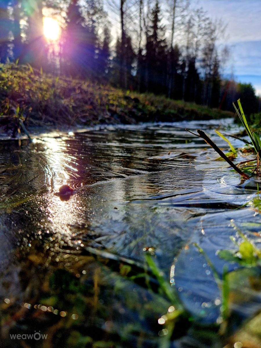 スウェーデンの天気写真. Susanne Sussi Wetterholmの美しい写真による天気予報