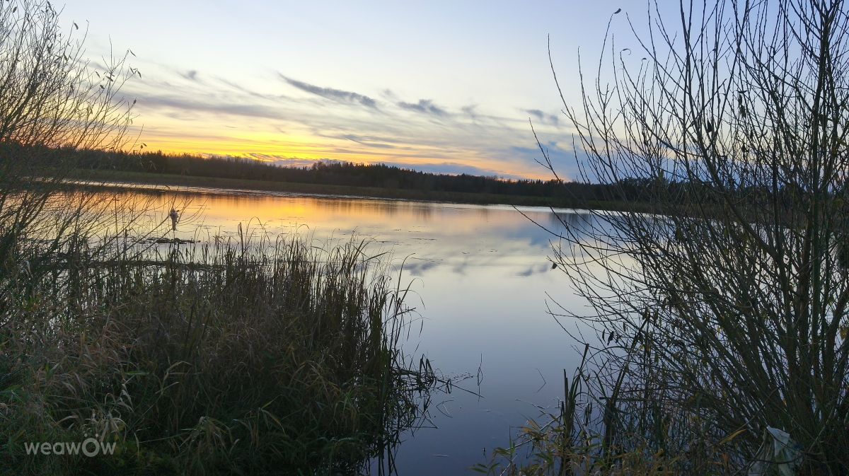 Фотограф Valiukas, Фотографии Погоды в Balėnos - Weawow