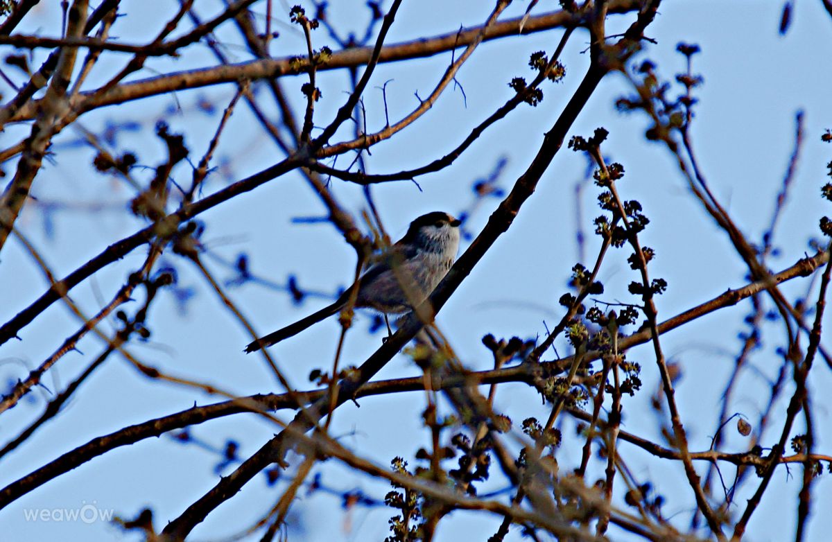 Photographer tony5636, Weather Photos in Calvisson - Weawow