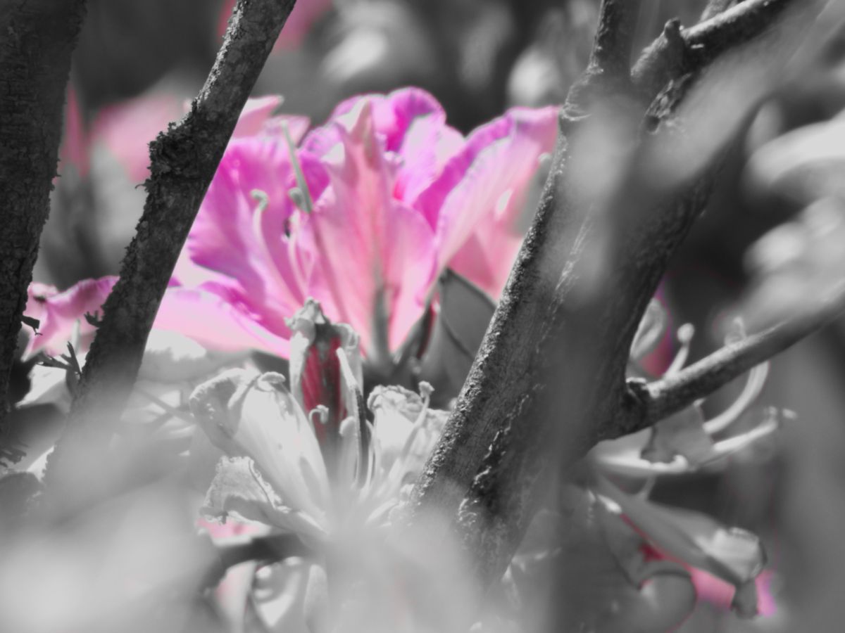 Previsões do tempo com lindas fotos de Step_Gently