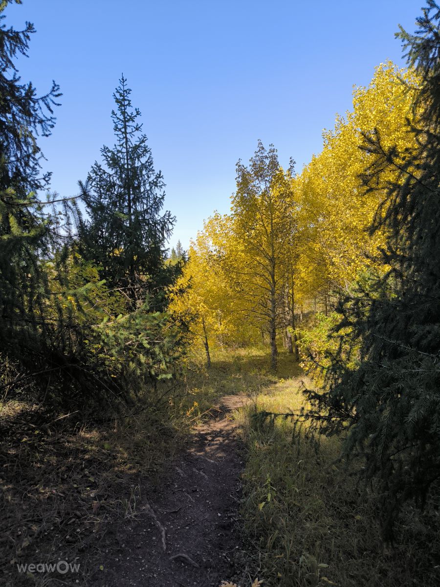 Fotos sobre el clima en Almaty Oblysy. Pronósticos del tiempo con hermosas fotos de Владимир Екименко