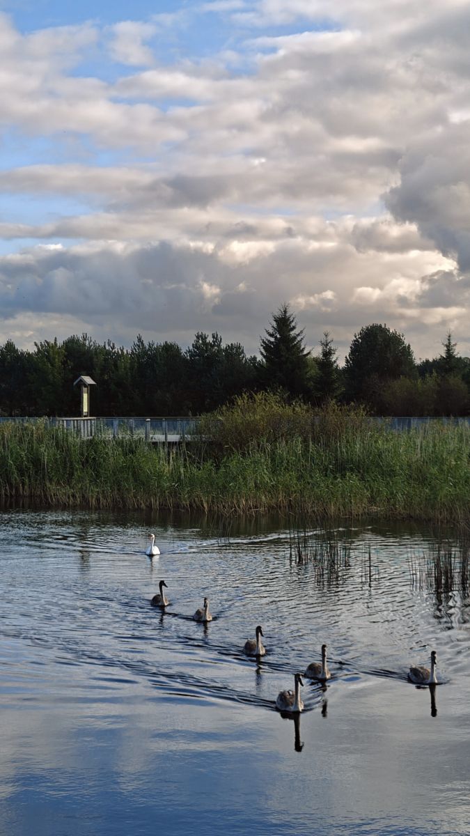 Fotos sobre el clima en Jelgava. Pronósticos del tiempo con hermosas fotos de newgen
