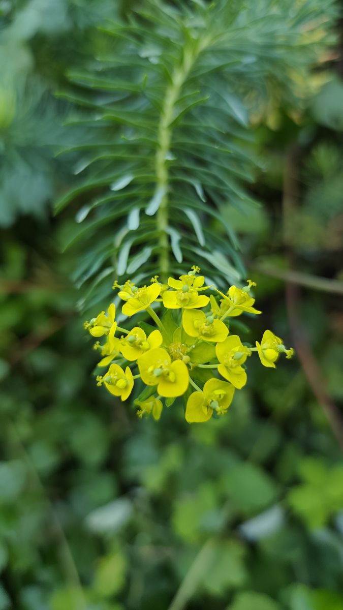 Weather Photos in Judetul Dambovita. Weather forecasts with beautiful photos by YanBog