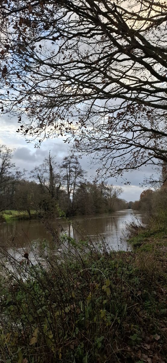 写真家 Lolli、Wateringburyの天気写真 - Weawow