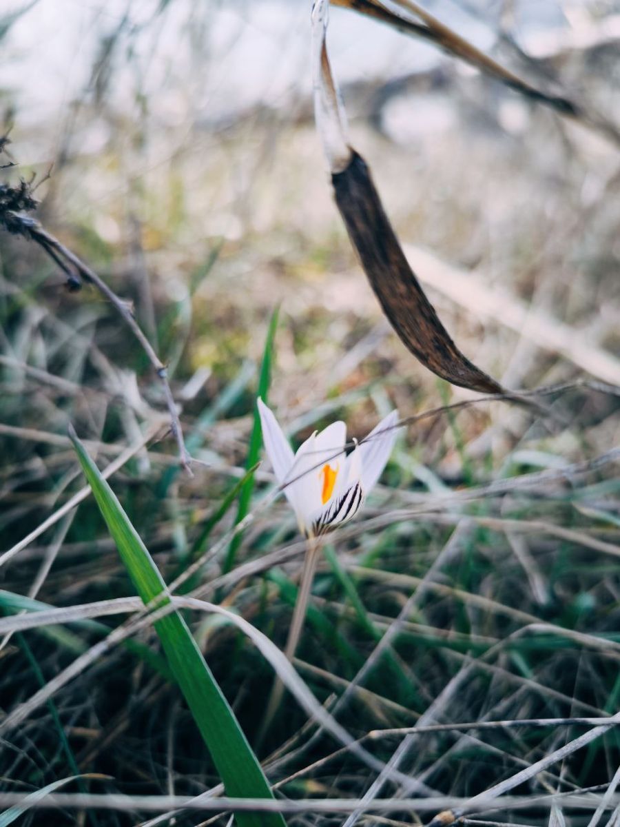 Photographe Dyane881, Photos météo à Anenii Noi - Weawow