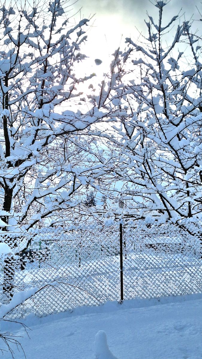 Weather Photos in Košice Region. Weather forecasts with beautiful photos by Ľubica Marcinová