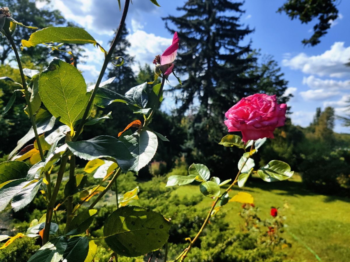 Fotografos Zorrra, Fotos do tempo em Kladow - Weawow