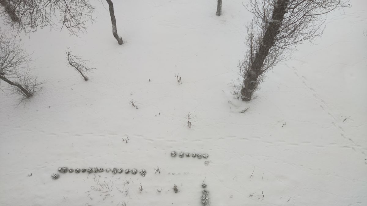 Фотографии Погоды в Киев. Прогнозы погоды с чудесными фотографиями, сделанными Ivanapps