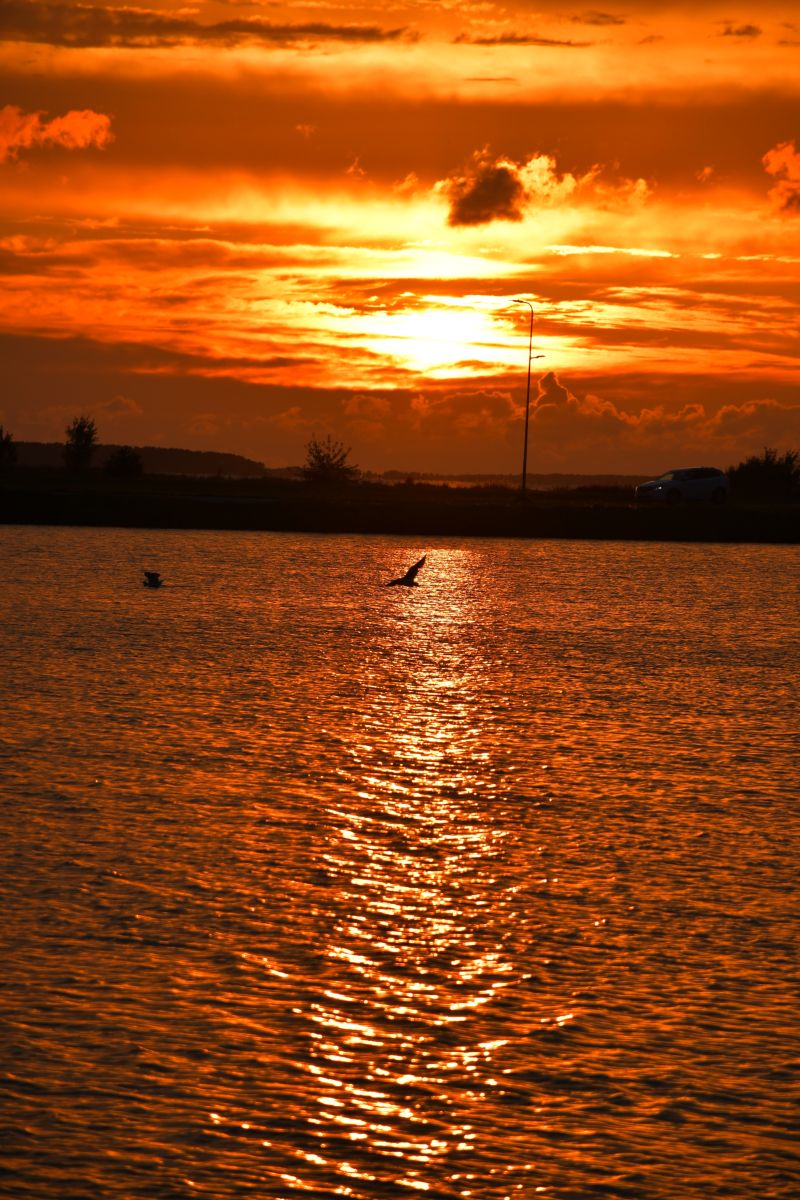 Photos météo à Comté de Lääne. Prévisions météo avec de superbes photos de Tarkus19
