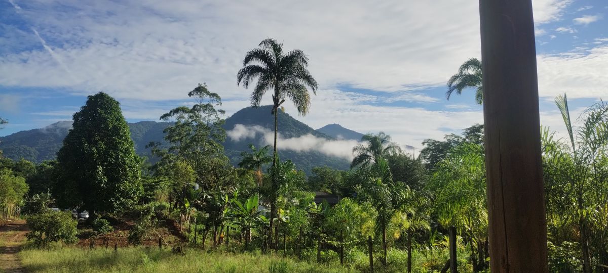 Weather forecasts with beautiful photos by Jhow_2401