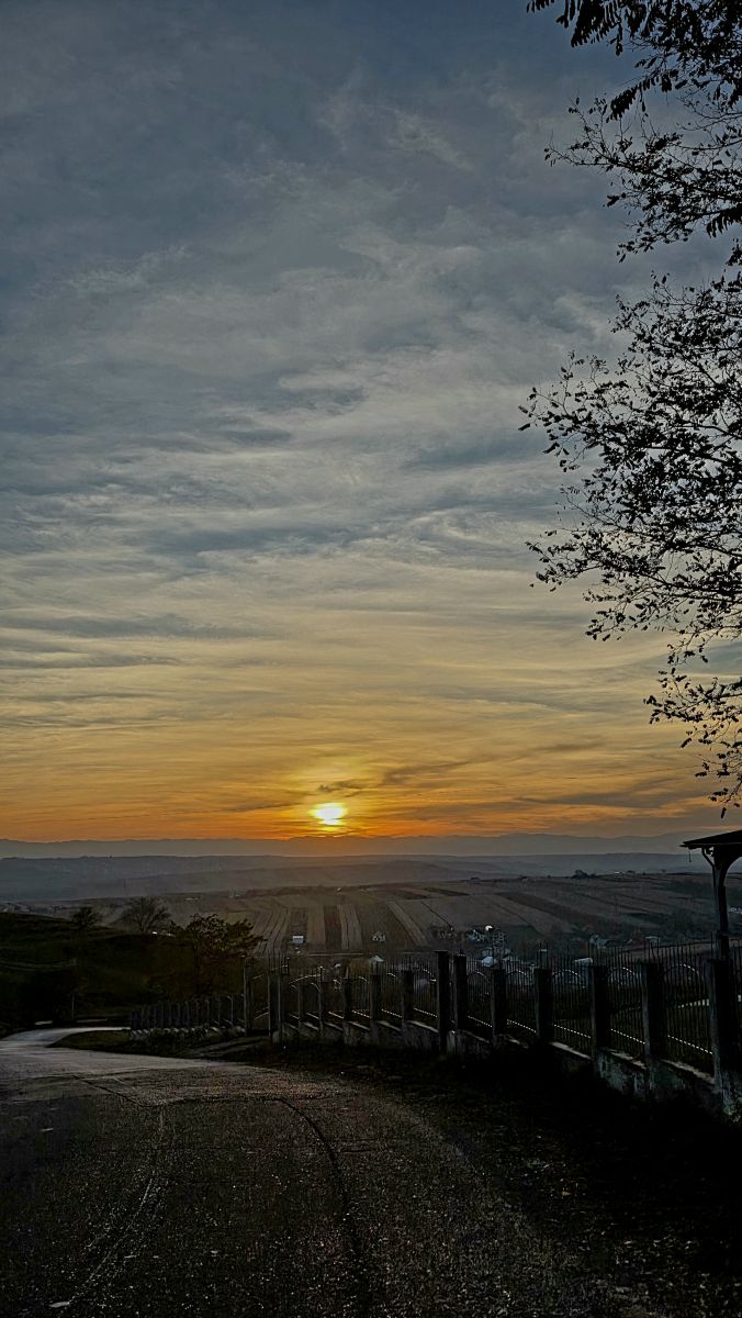 Pronósticos del tiempo con hermosas fotos de Camelyon