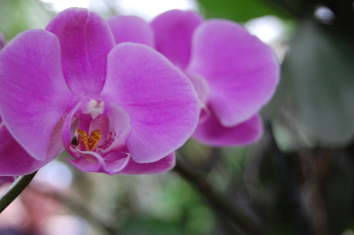 Weather Photos in Palestine. Weather forecasts with beautiful photos by Sviatoslav