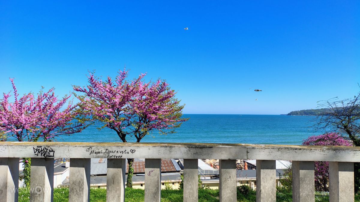 Weather Photos in Varna. Weather forecasts with beautiful photos by BozhanaStoeva6