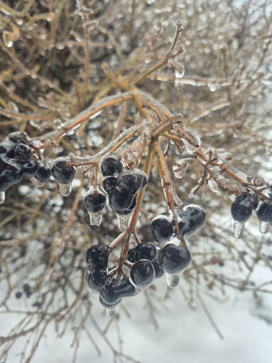 Fotos sobre el clima en Bila Tserkva. Pronósticos del tiempo con hermosas fotos de Маргарита Котенко