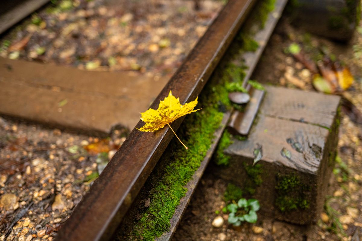 Photographer GrgaP, Weather Photos in Guamskoye Ushchel'ye - Weawow