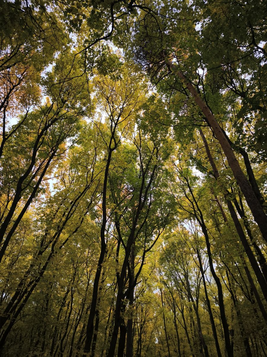 Photographer Amanda_and_Valdemar_Che, Weather Photos in Izmaylovo District - Weawow