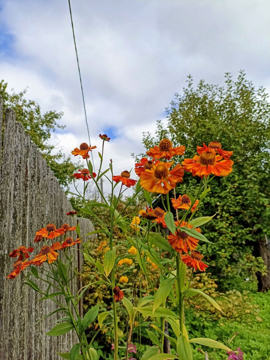 Photos météo à Moscow Oblast. Prévisions météo avec de superbes photos de 19Larisa46