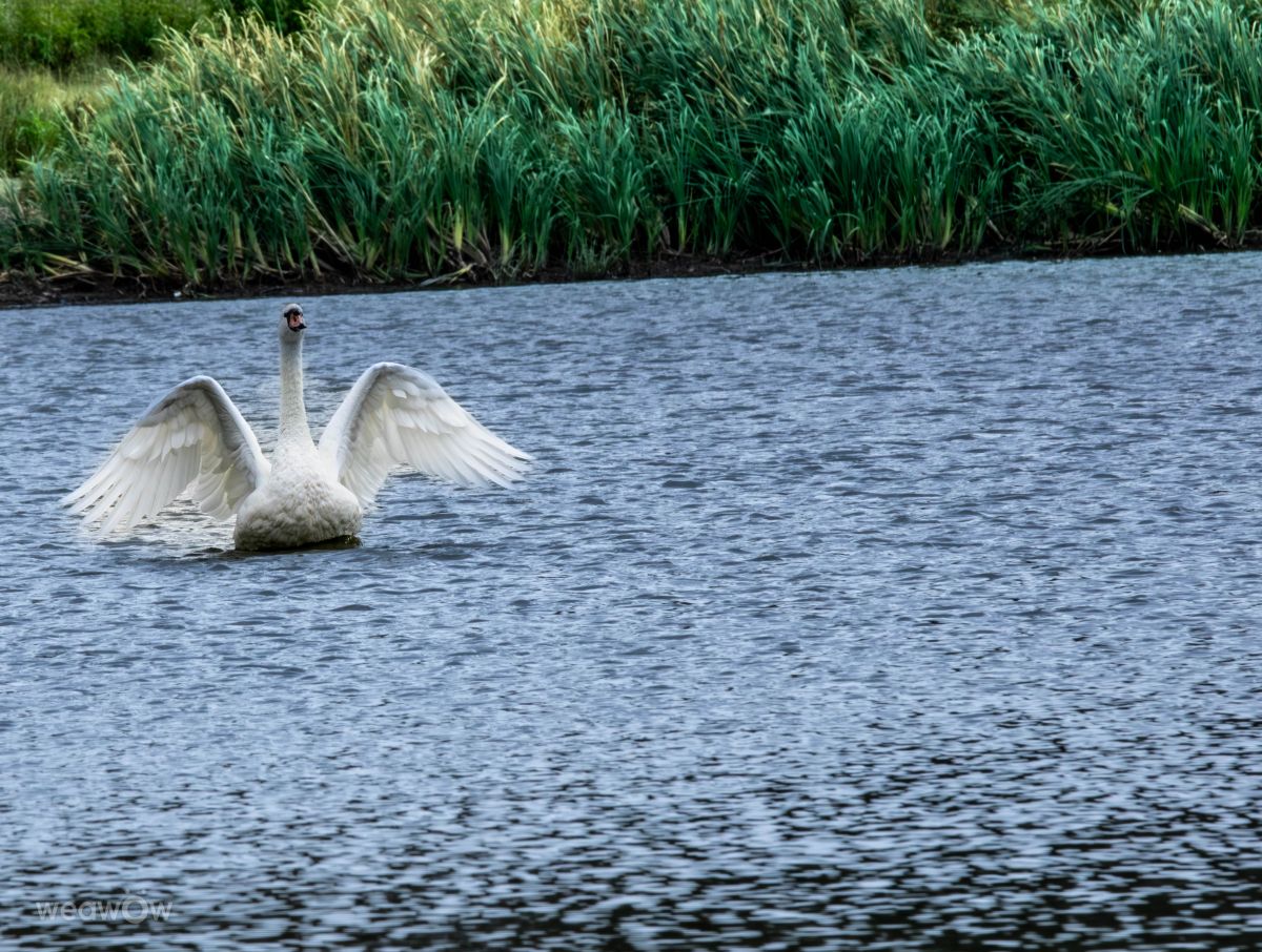 Fotos do tempo em Vaslui. Previsões do tempo com lindas fotos de IrinelFainarea