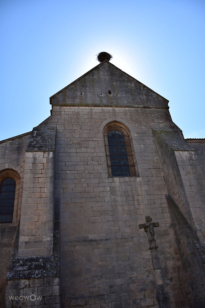 Photographer ALopez, Weather Photos in The Huelgas Monastery - Weawow