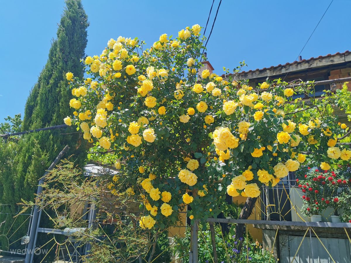 Фотографии Погоды в Сливен. Прогнозы погоды с чудесными фотографиями, сделанными Arrise