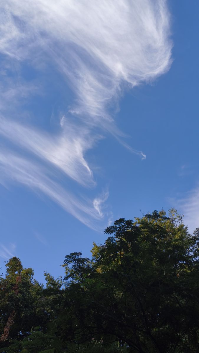 ブカレストの天気写真. YanBogの美しい写真による天気予報