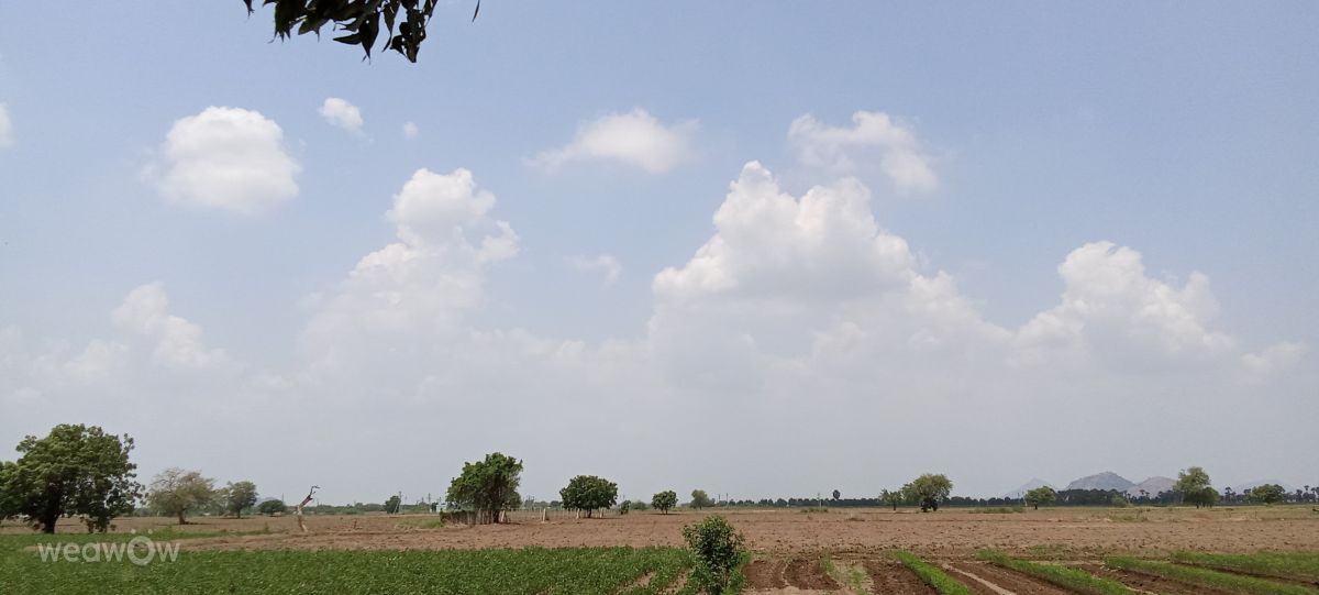 Weather Photos in India. Weather forecasts with beautiful photos by Imadabattini Bosu Babu