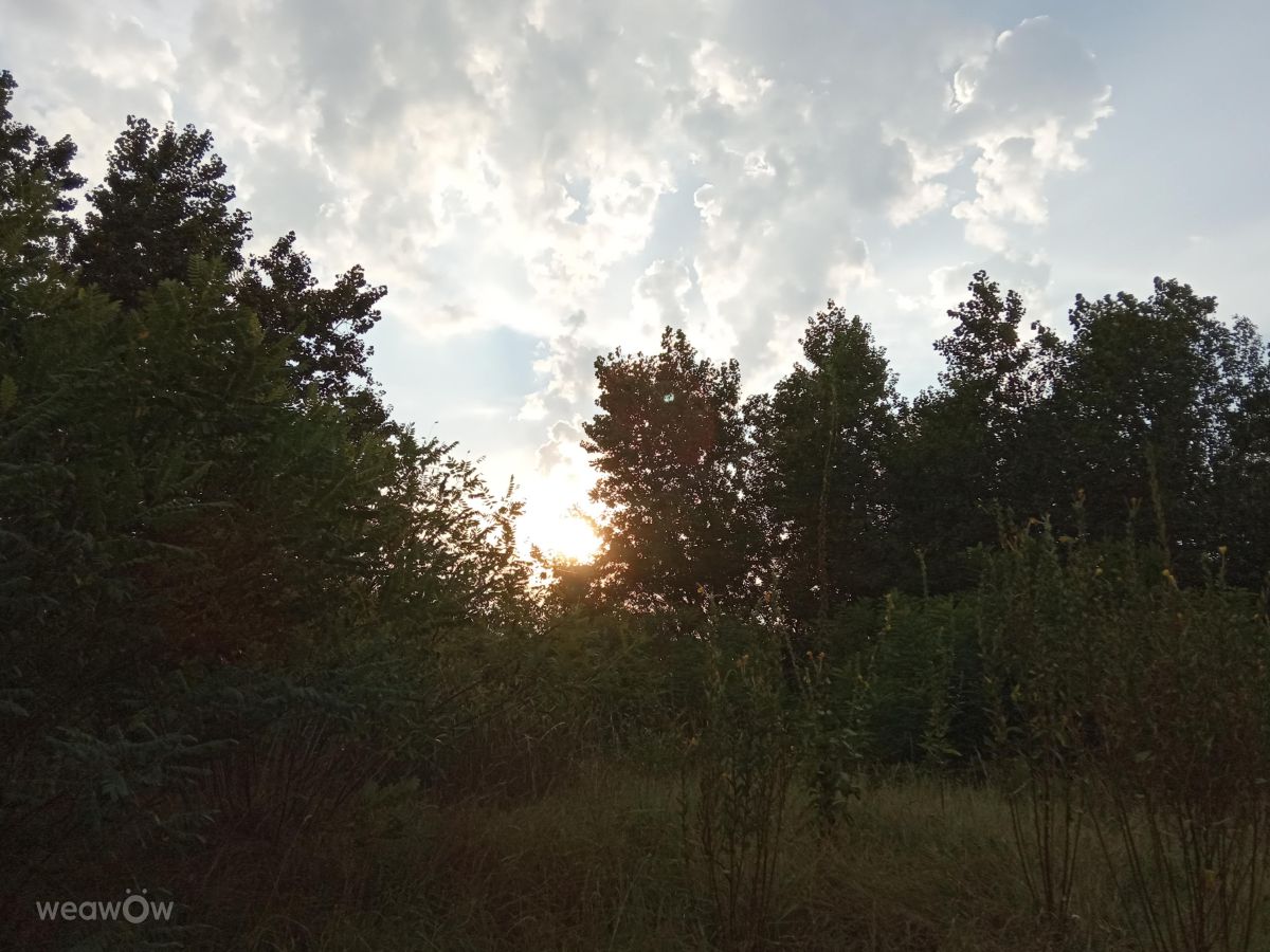 摄影师 Doc_H，Novi Beograd的天气照片 - Weawow