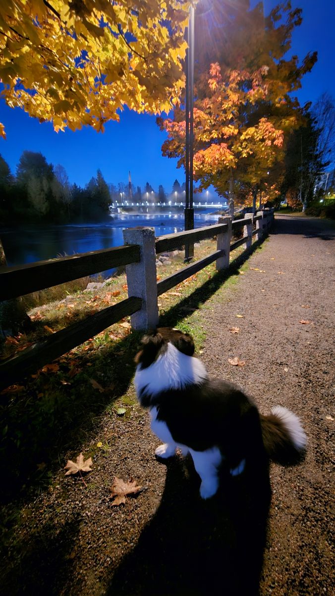 Photos météo à Finlande. Prévisions météo avec de superbes photos de Piia