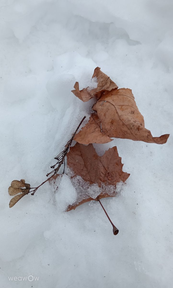 Weather Photos in Serbia. Weather forecasts with beautiful photos by Branislava Knezevic