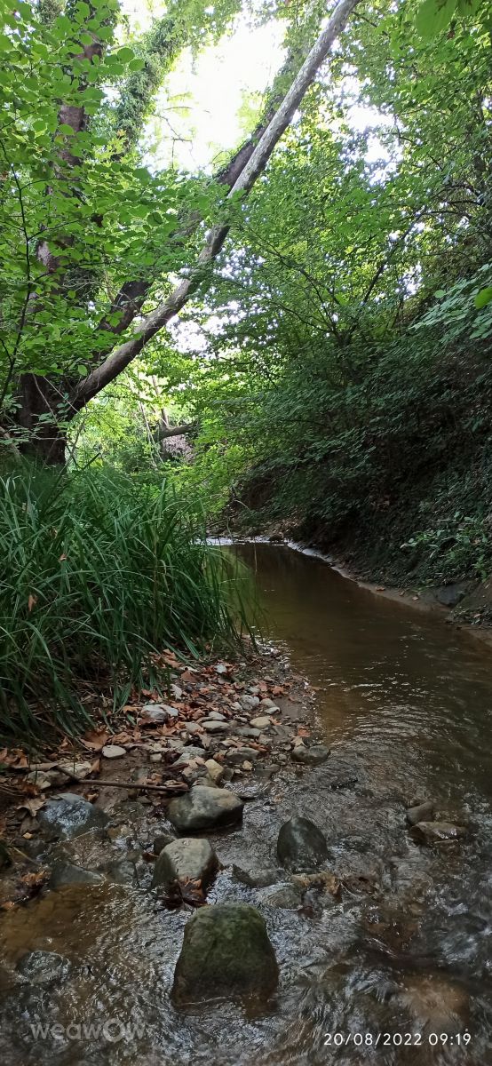 Edessaの天気写真. Helena_Nanouの美しい写真による天気予報