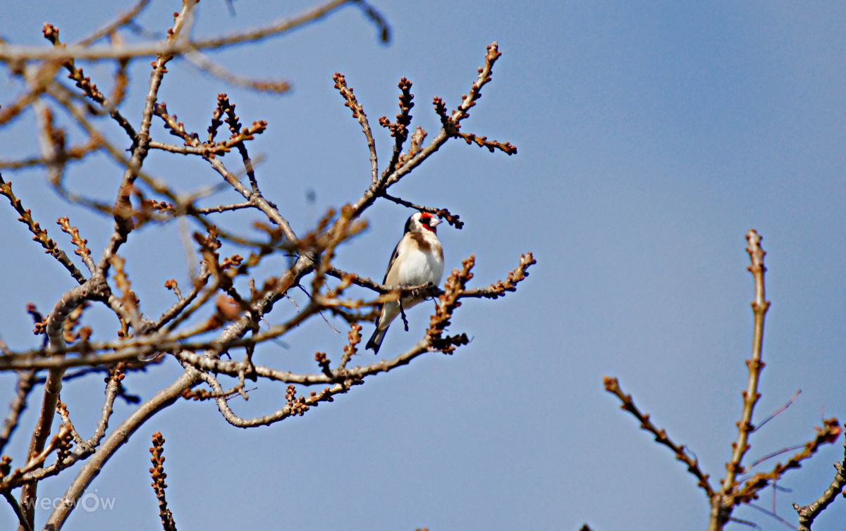Prévisions météo avec de superbes photos de tony5636