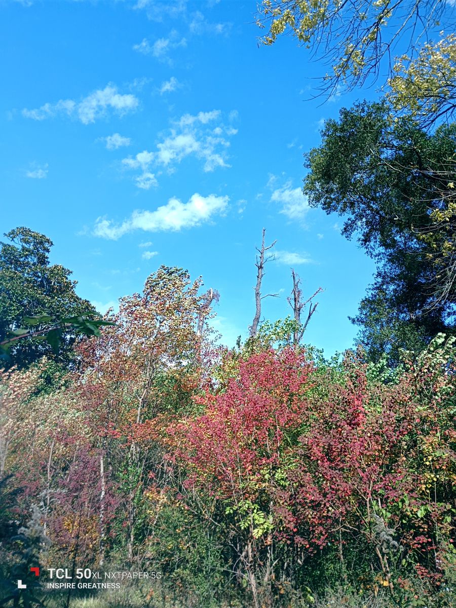 密西西比州的天气照片. 天气预报，带MilersLafayetteCookJr精美的照片