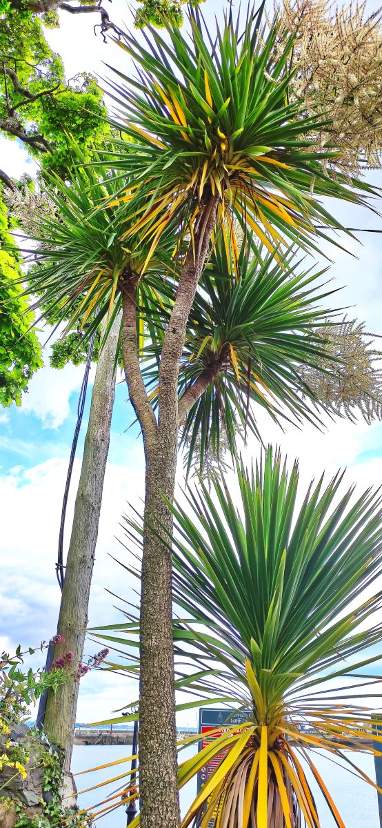 Weather Photos in Ireland. Weather forecasts with beautiful photos by Koradji