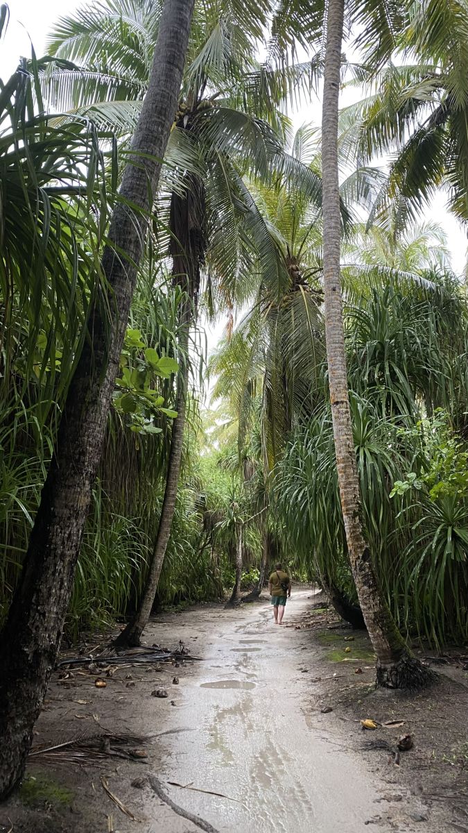 Weather Photos in Maldives. Weather forecasts with beautiful photos by Domeringa