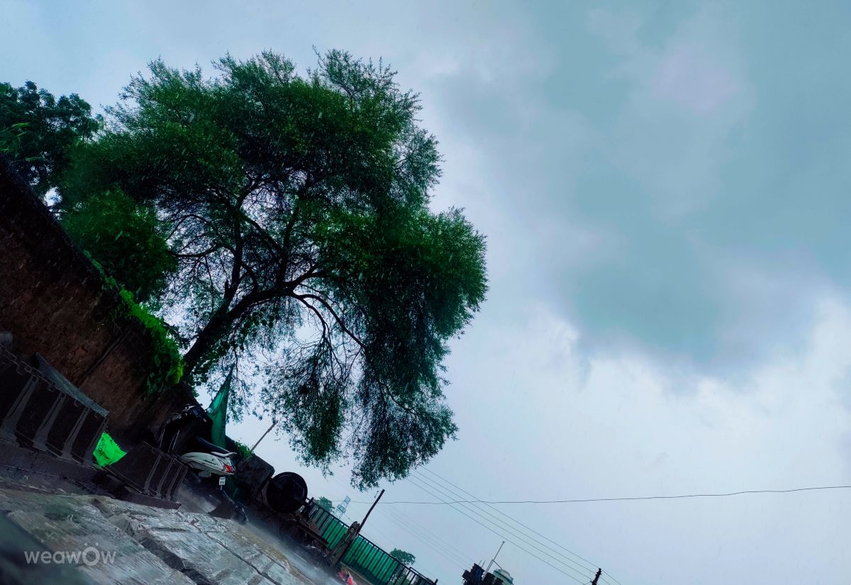 Weather Photos in Chhattisgarh. Weather forecasts with beautiful photos by Tej Tandan
