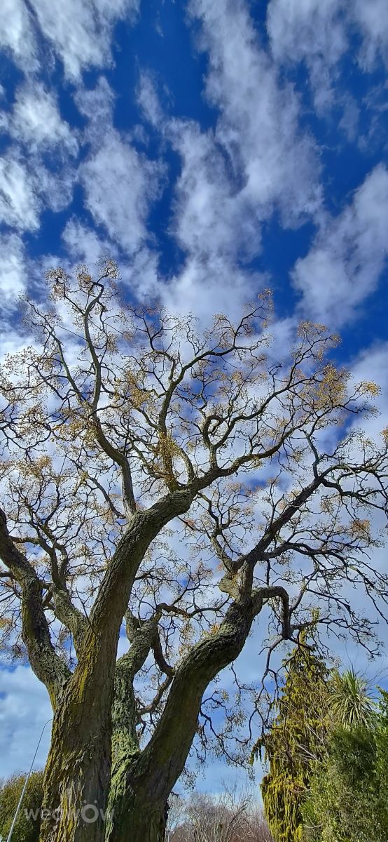 Weather forecasts with beautiful photos by Barnett-28