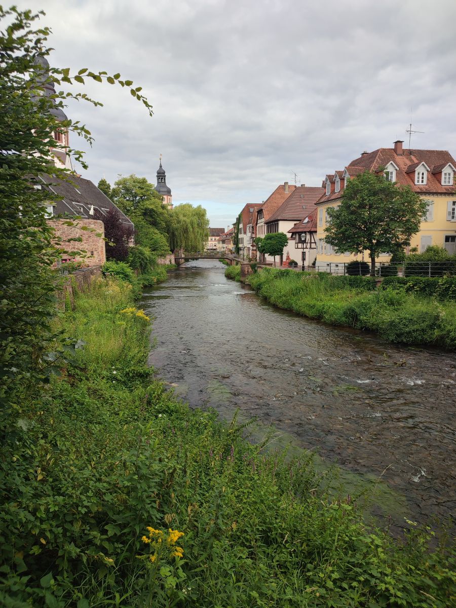 Photographer Tercis, Weather Photos in Ettlingen - Weawow